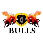 11 Bulls icon