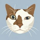 AbiPaint icon