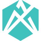 ADEX icon
