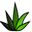 Agave icon