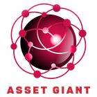 Asset Giant icon