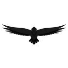 Astur icon