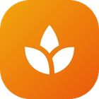 Aurovia icon