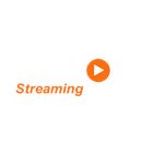 Best of Streaming Video icon