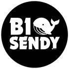BigSendy icon