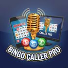 Bingo Caller Pro icon
