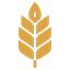 Brewlytics icon