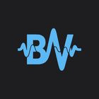 BridgeVox icon