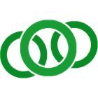 BrizoConsol icon