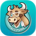 BullVPN icon
