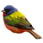 Bunting icon