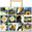 Byo Image Search lab icon