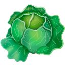 cabbage.gay icon