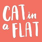 Cat in a Flat icon