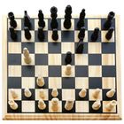 ChessHost icon