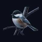 ChikaD icon