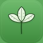 Cilantro Money icon