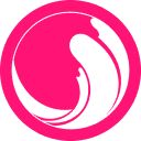 CoinVoyage icon