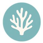 Coral Focus icon