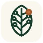 Crads-AI icon