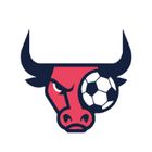 Daily Sport Pick icon