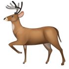 Deer Flow icon