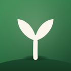 Dibble icon