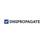 DNSPropagate.com icon