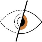 DockoVPN icon