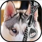 Dogs Lock Screen Zipper icon