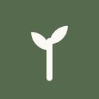 Dreamward icon