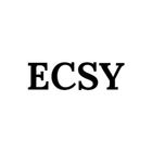 ECSY icon