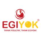 Egiyok90 icon