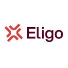 Eligo eVoting icon