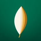 Endleaf icon