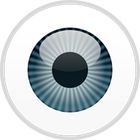 ESET Endpoint Security icon