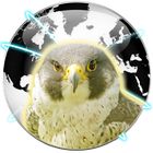 Falcon Private Browser icon