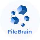 FileBrain Pro icon