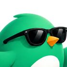 Fly with Wren icon