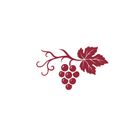 Gioia: AI Wine Companion icon