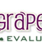 GrapeVine Evaluations icon