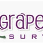 GrapeVine Surveys icon