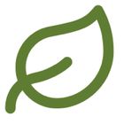 GreenOps Cloud Scan icon