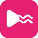 HanFlow Player icon