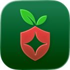 Holeberry icon
