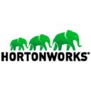 HortonWorks Data Platform icon