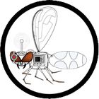Hoverfly icon