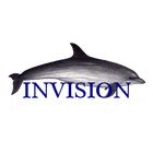 I-N-V-I-S-I-O-N icon