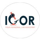 IGOR icon
