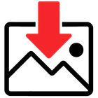 Image Downloader Pro icon
